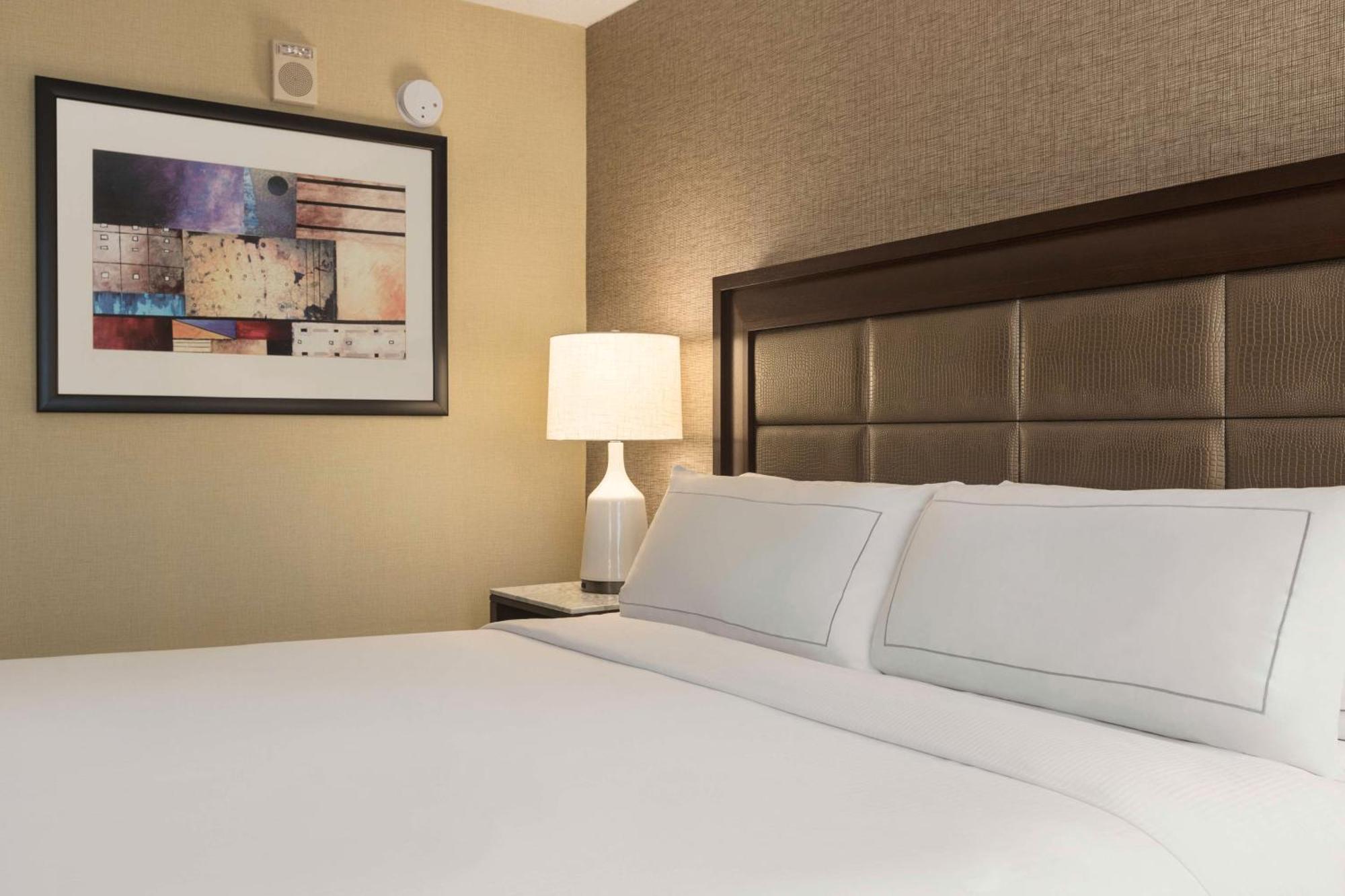 מלון Hilton Tampa Downtown מראה חיצוני תמונה